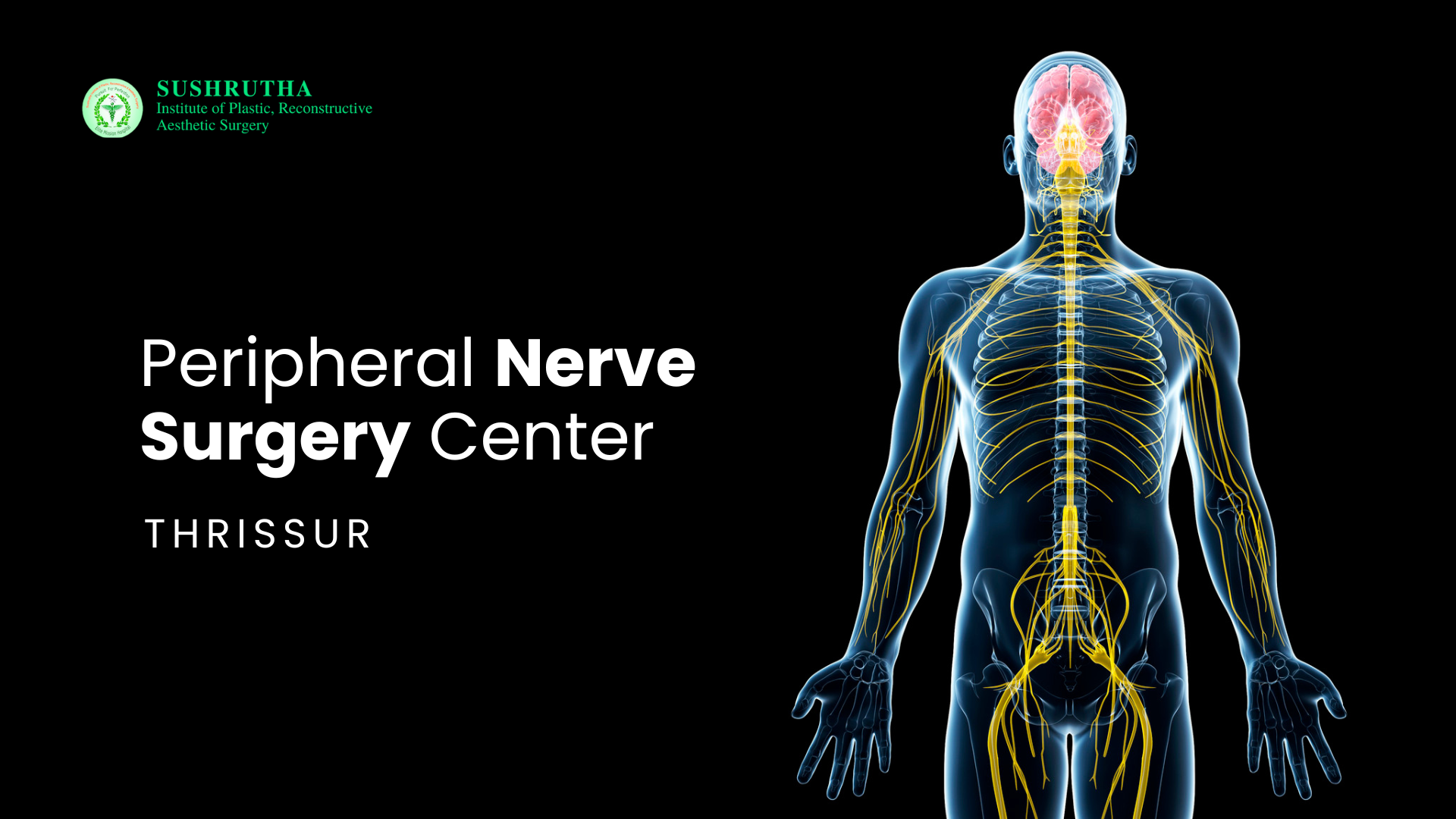 peripheral nerve surgery center thrissur