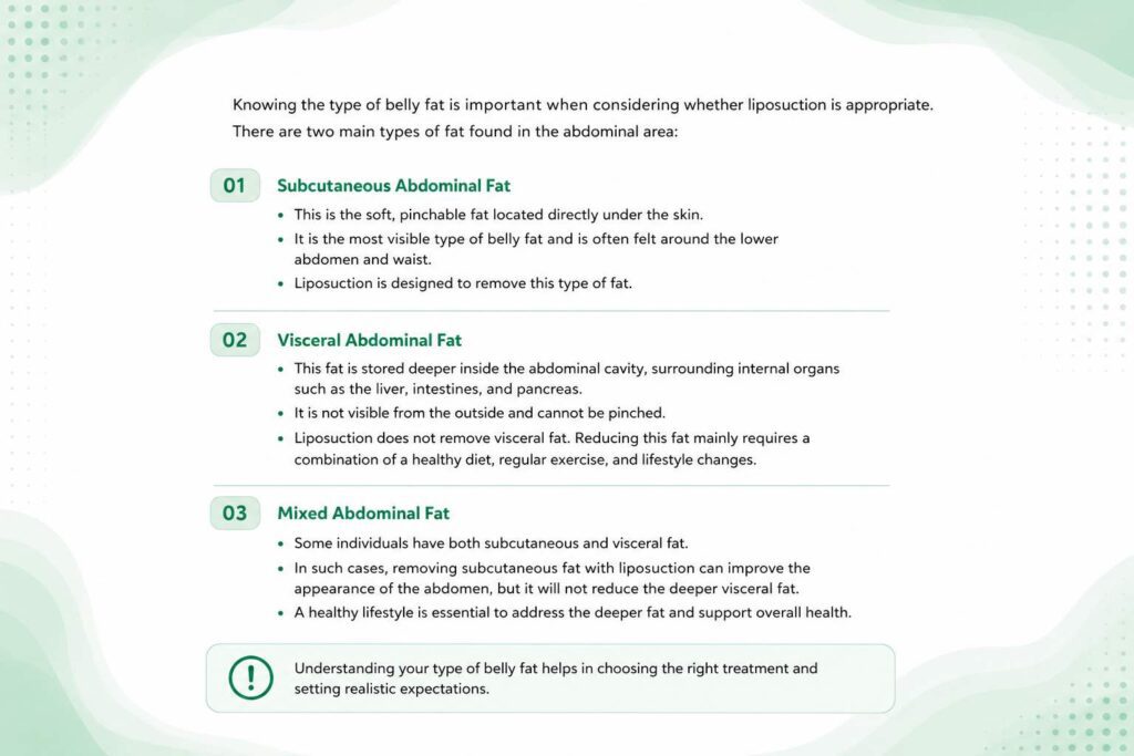 Types of belly fat including subcutaneous, visceral, and mixed abdominal fat